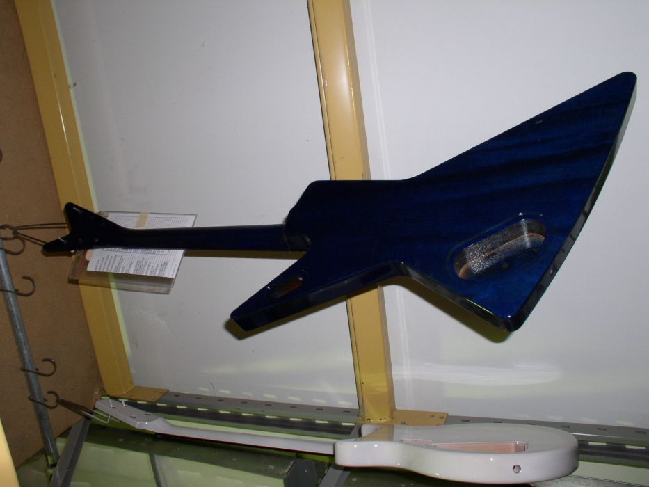 Ham_blue_nielsen.jpg
