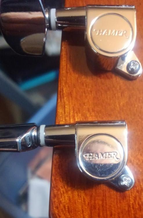 Hamer Tuners.JPG