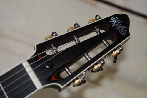 Walker Phantom---Headstock.jpg