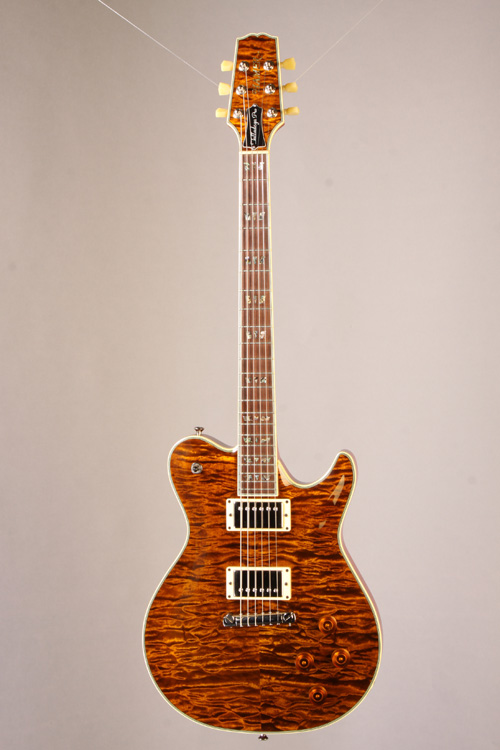 Talladega Pro Tiger Eye 1.jpg