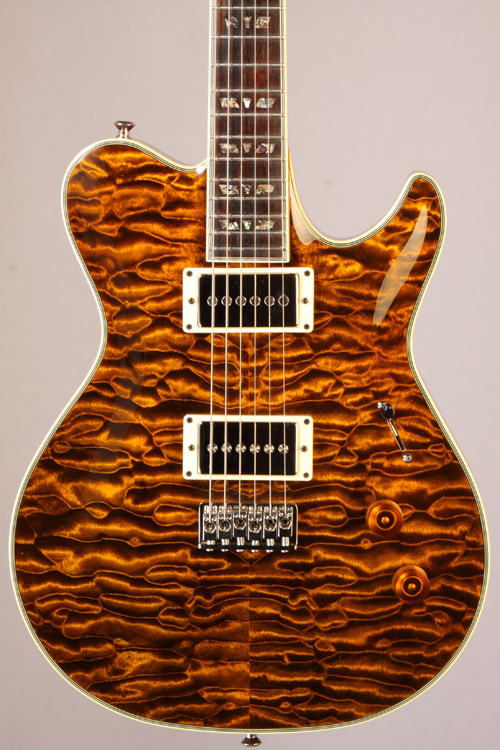 Talladega TIger Eye 11.jpg