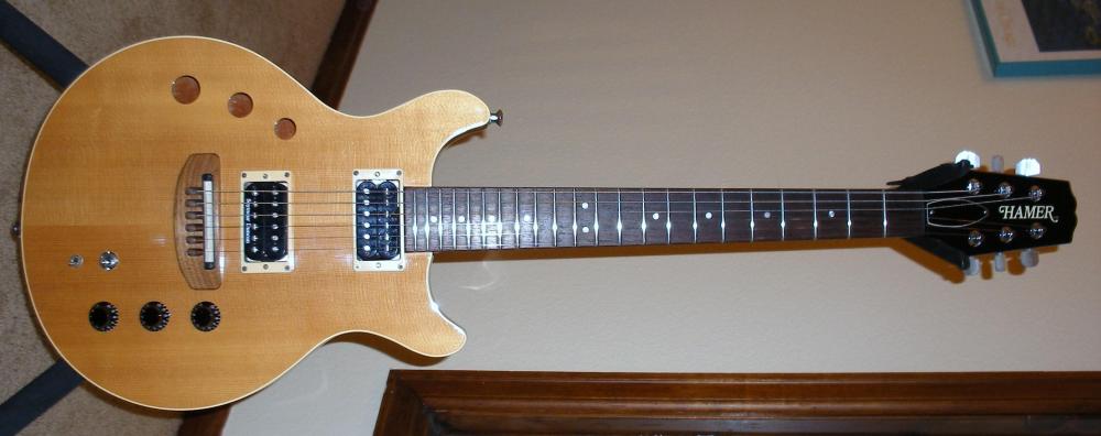 Hamer USA '96 Duotone.JPG
