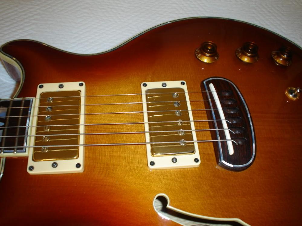 Hamer Duo Ultimate3.JPG
