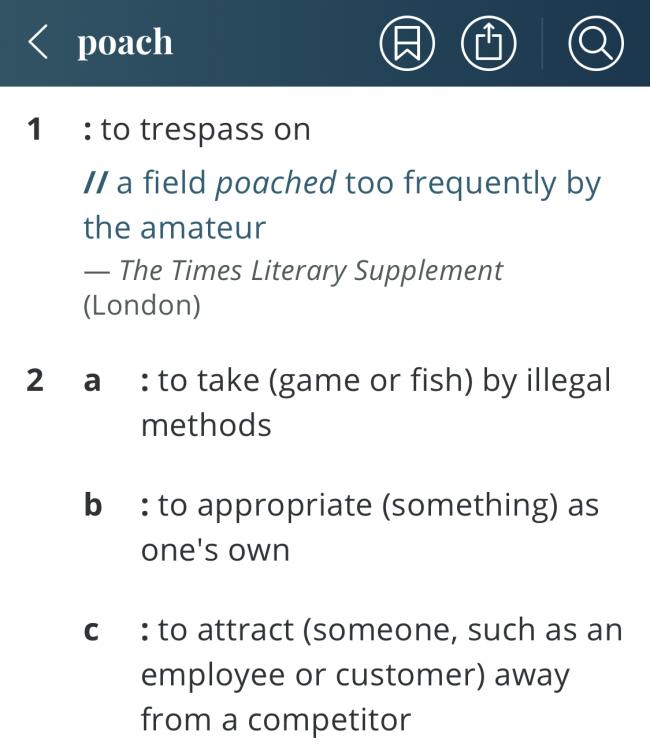 944A1081-31B2-4C9F-9272-04679E81C149.jpeg