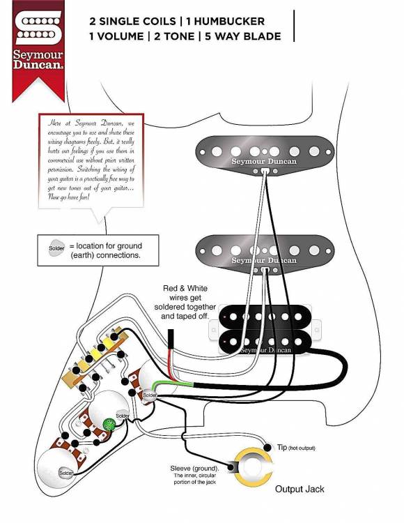 Wiring Diagram For Bass Guitar Two Volumes One Tone from www.hamerfanclub.com