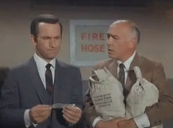 image.gif