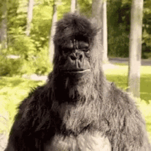 image.gif