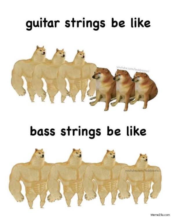 Guitar-strings-be-like-Bass-strings-be-like-meme-7727.png.jpeg