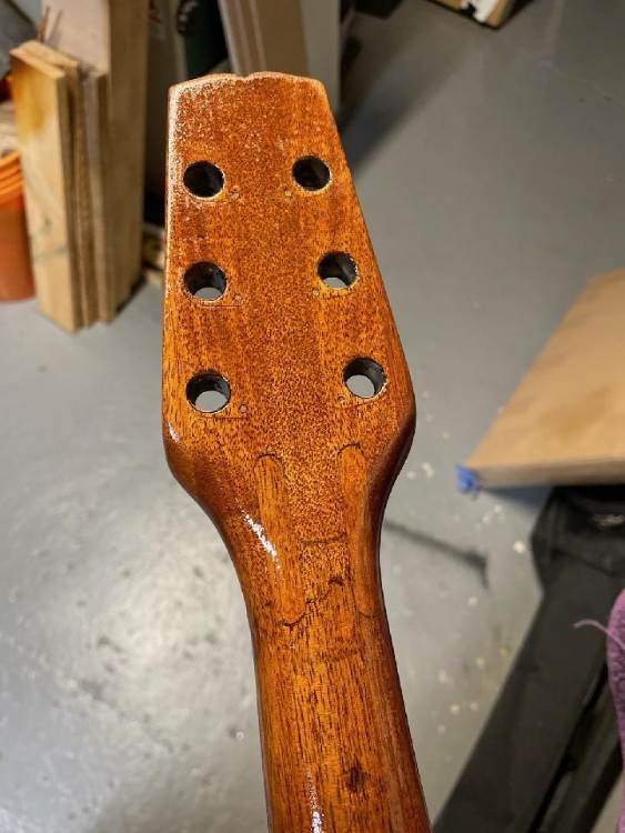 82Headstock back.jpg