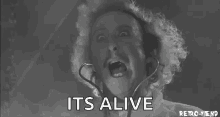 image.gif