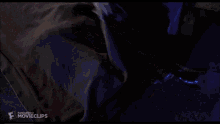 image.gif
