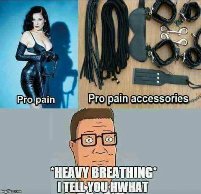 pro pain.jpg