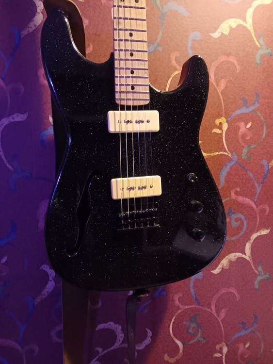 Strat P90 b.jpg