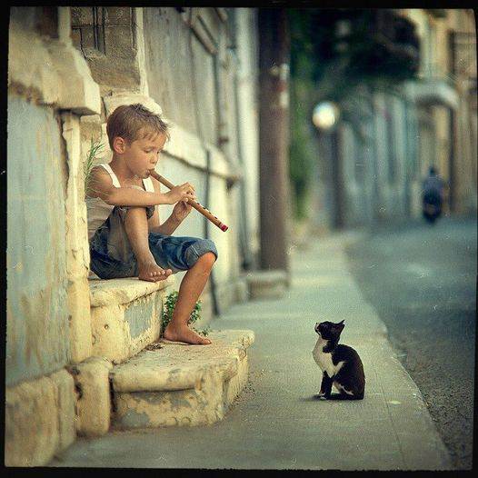 cat listen to boy play flute.jpg
