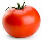 Tomato 1.jpg