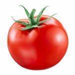 Tomato 2.jpg