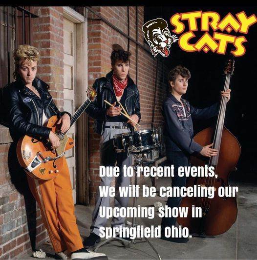 stray cats off.jpg