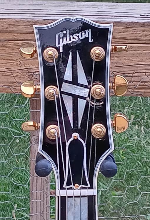 Gibson 359 headstock.jpg
