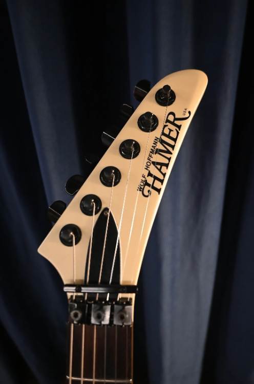 Hamer_WH_2.jpg.a7e092d50998809048bcacd0ee714ceb.jpg
