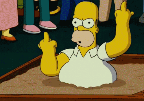 0homer8.gif