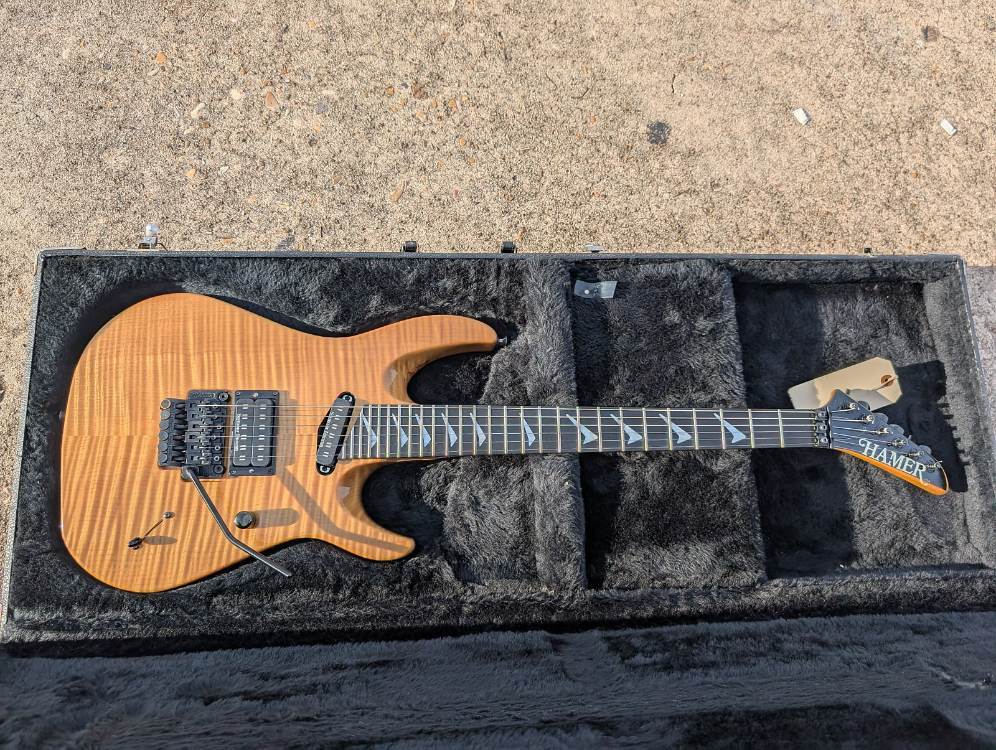 Hamer_Cali.jpg.51358af5e9a04fbf19cb4991eceea2b5.jpg