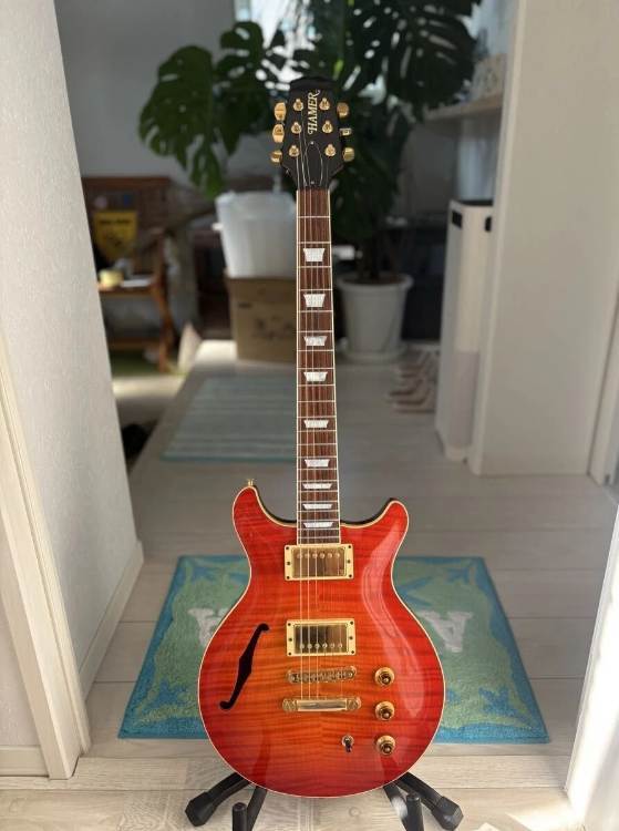 Hamer_Artist_Custom_12K.jpg.6cdaa4408a554a78c05dc13d8cc2040c.jpg