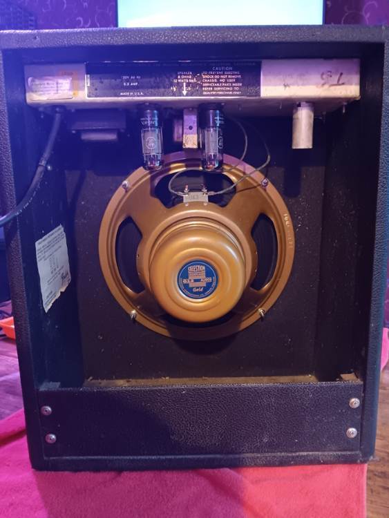 Musicmaster amp b.jpg