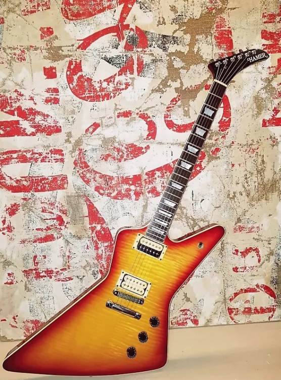 Hamer_Standard_1981.jpg.964b313ddfe4590c4353cc3ddedfa32d.jpg