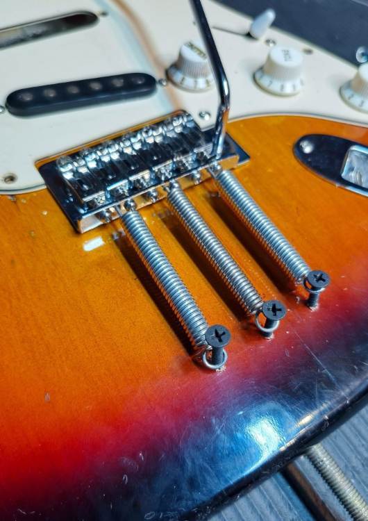 strat trem.jpg