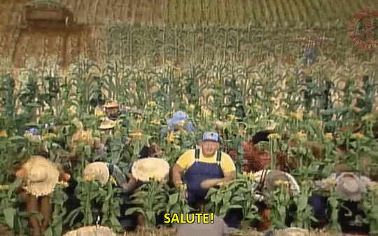 8d487.gif