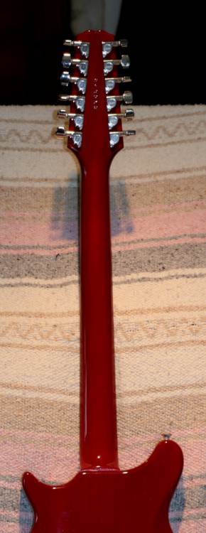 Back_Neck_Hstock_20.JPG.7116a45775ed39c4ee2ef4c9c41154db.JPG