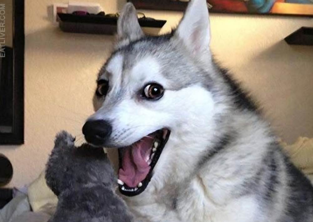 image.jpeg