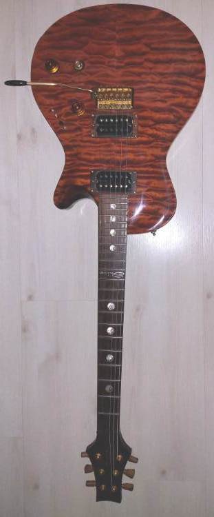 siggibrauncustom_b.jpg.2b90d406066b0306b73ac2de7c3f7b41.jpg
