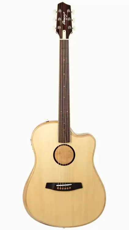baggs aeg.webp