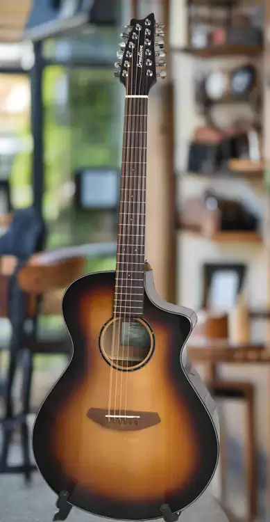 breedlove 122.webp
