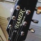 ARM OF HAMER