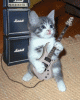 post-4-1139451460_thumb.gif