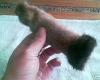 post-4-1139960582_thumb.jpg
