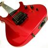 cacophony80
