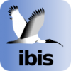 ibis